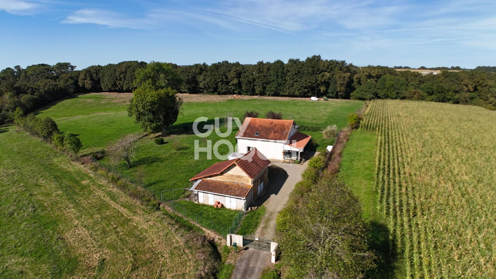 Maison à vendre à Hagetmau- Un havre de paix au coeur de la nature