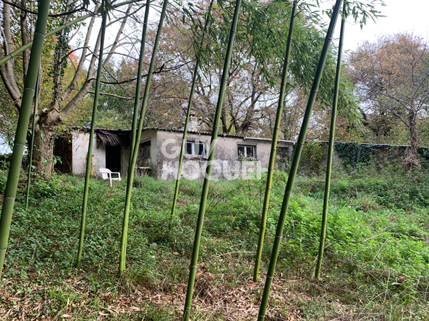 Maison à rénover avec terrain arboré de plus d'un hectare
