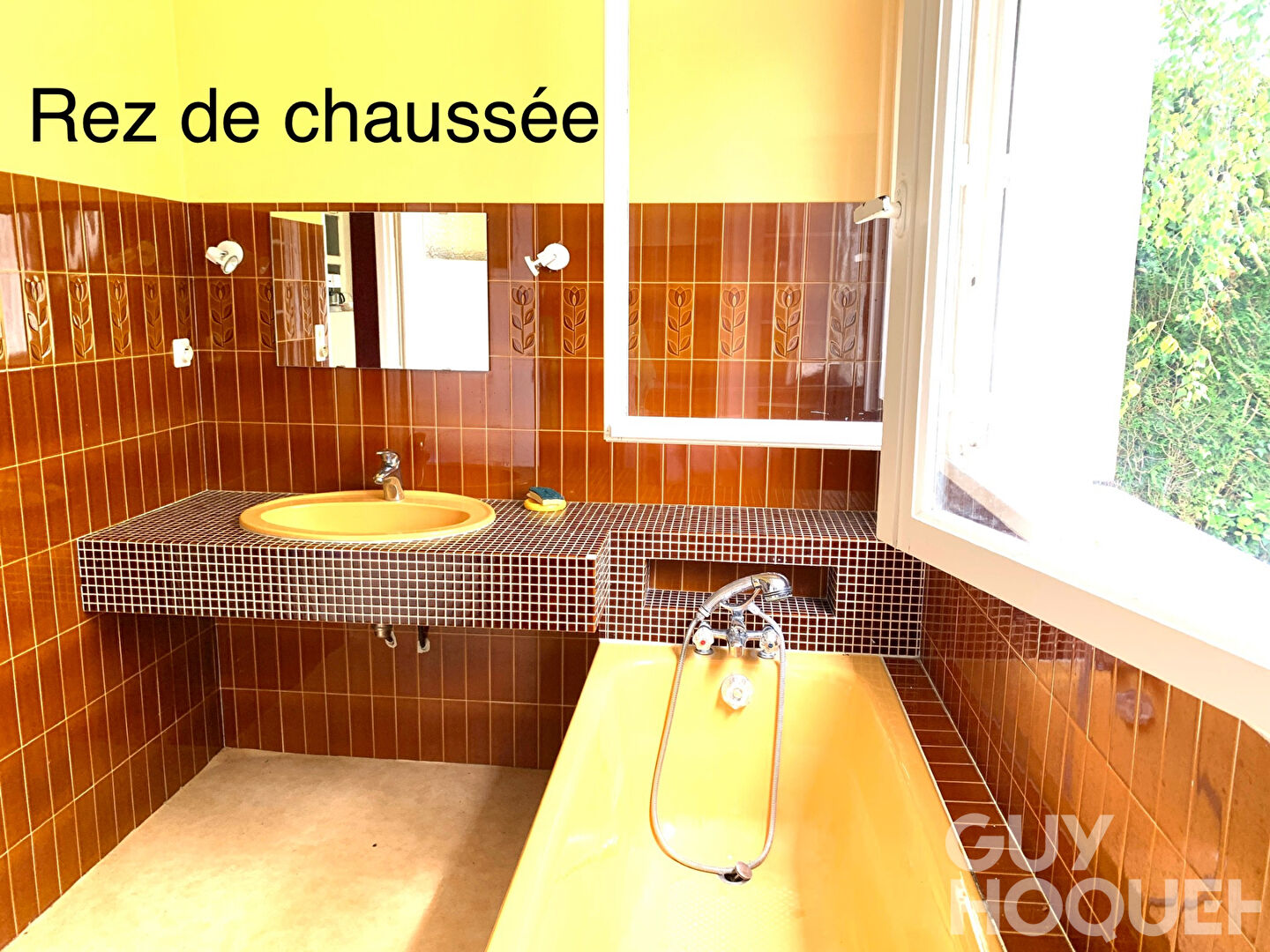 Maison Arthez De Bearn 7 pièces 160 m2 ( 2 logements dissociés)