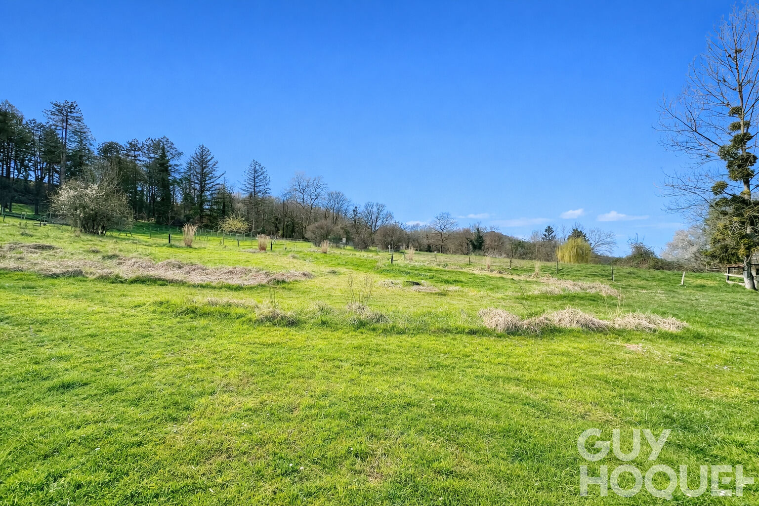 Ensemble immobilier sur Orthez avec 3 hectares