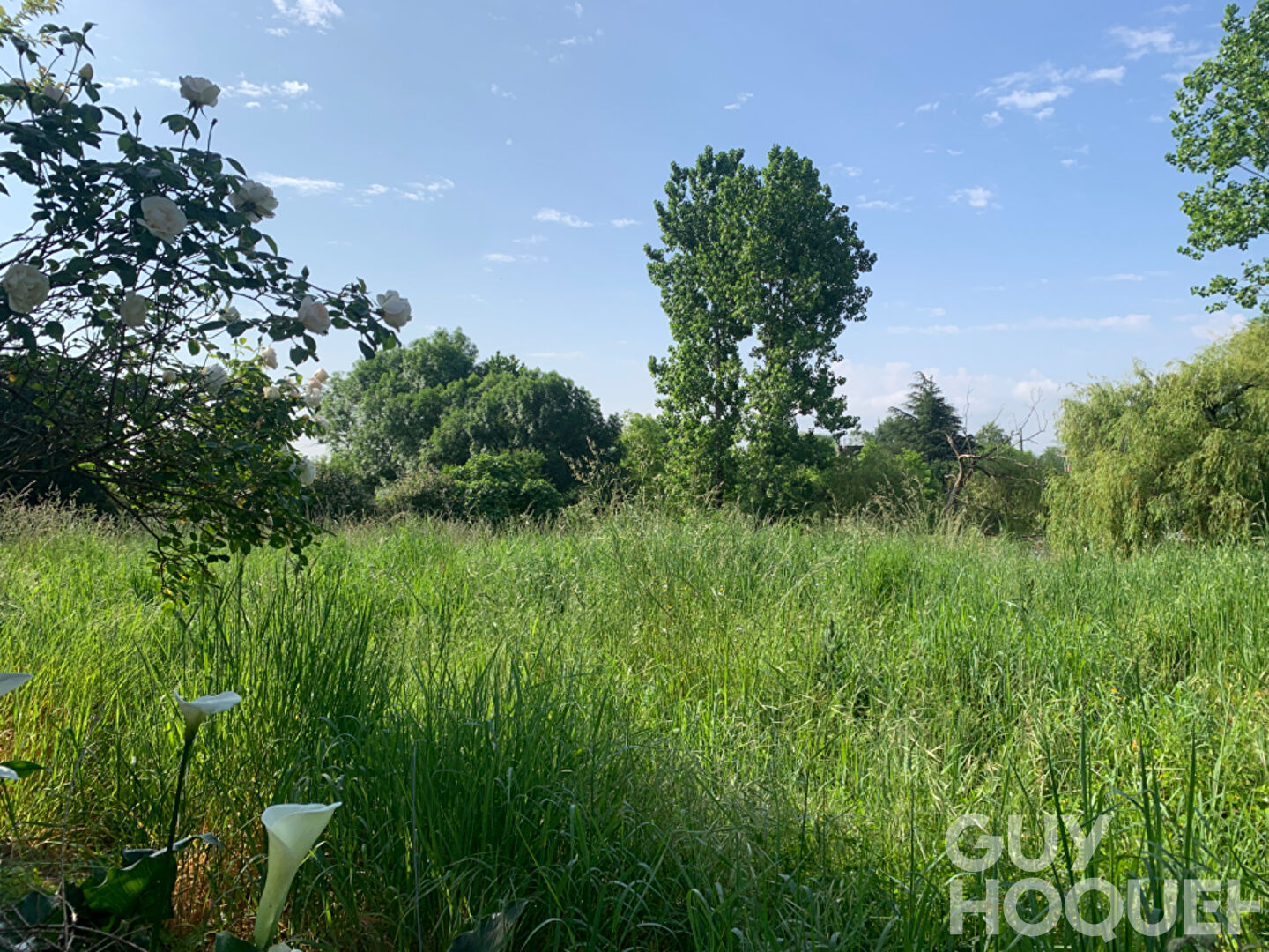Terrain Casteide Candau 1000 m2