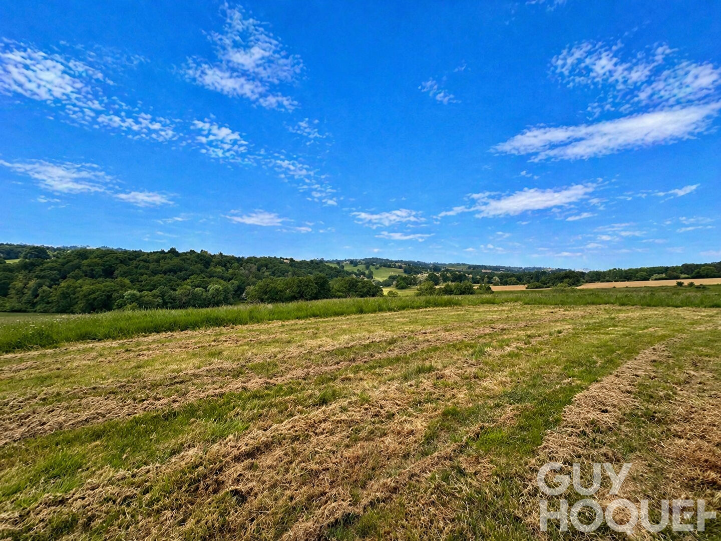 Propriété avec dépendances proche d'ORTHEZ avec 16 hectares