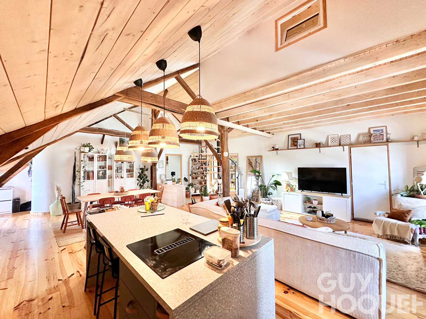 Appartement T2 bis entièrement rénové proche d'ORTHEZ