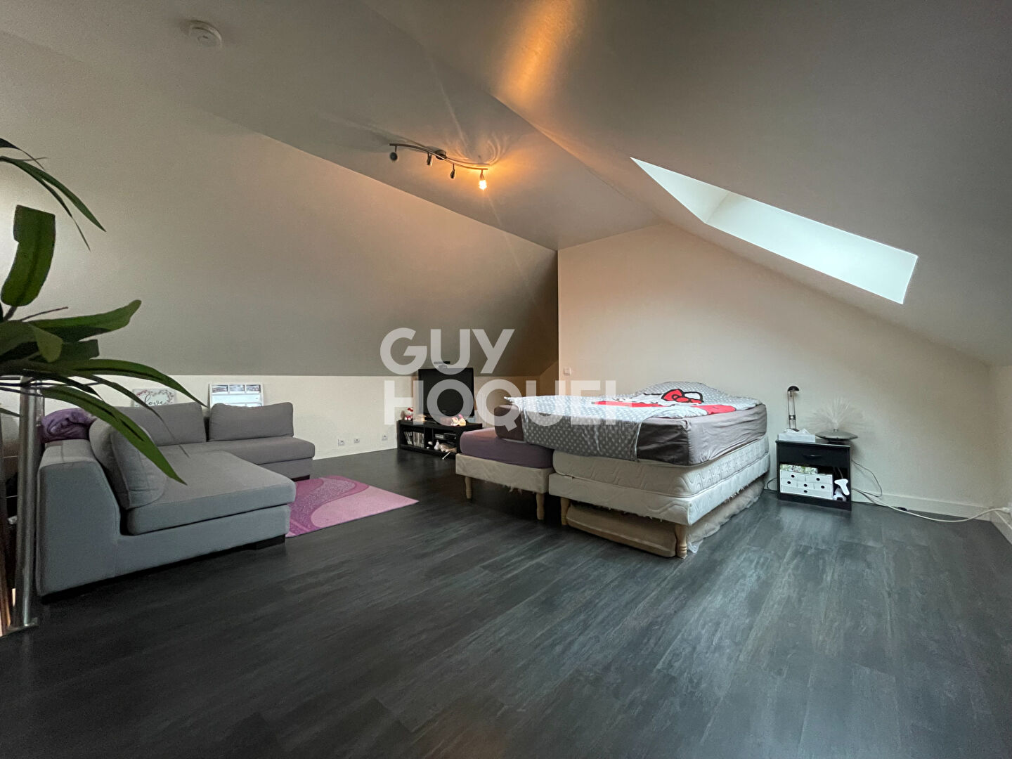 DUPLEX CENTRE VILLE OZOIR