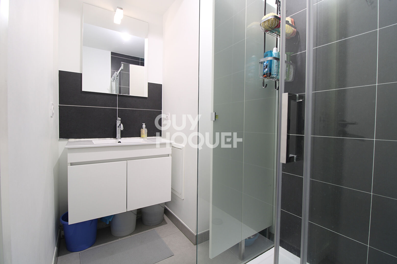 Appartement Brie Comte Robert 3 pièces