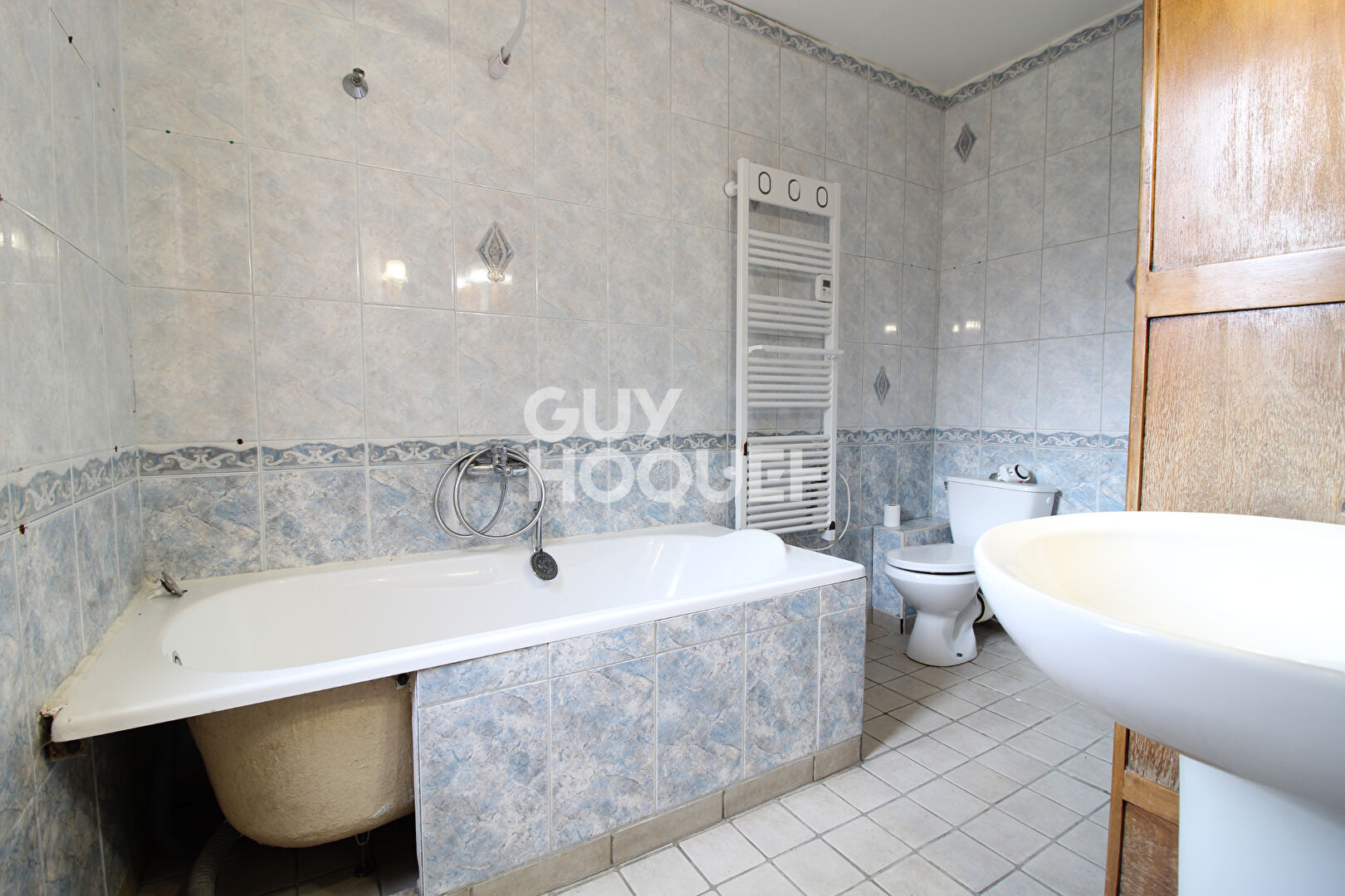 Charme de l'ancien - Briarde avec jardin