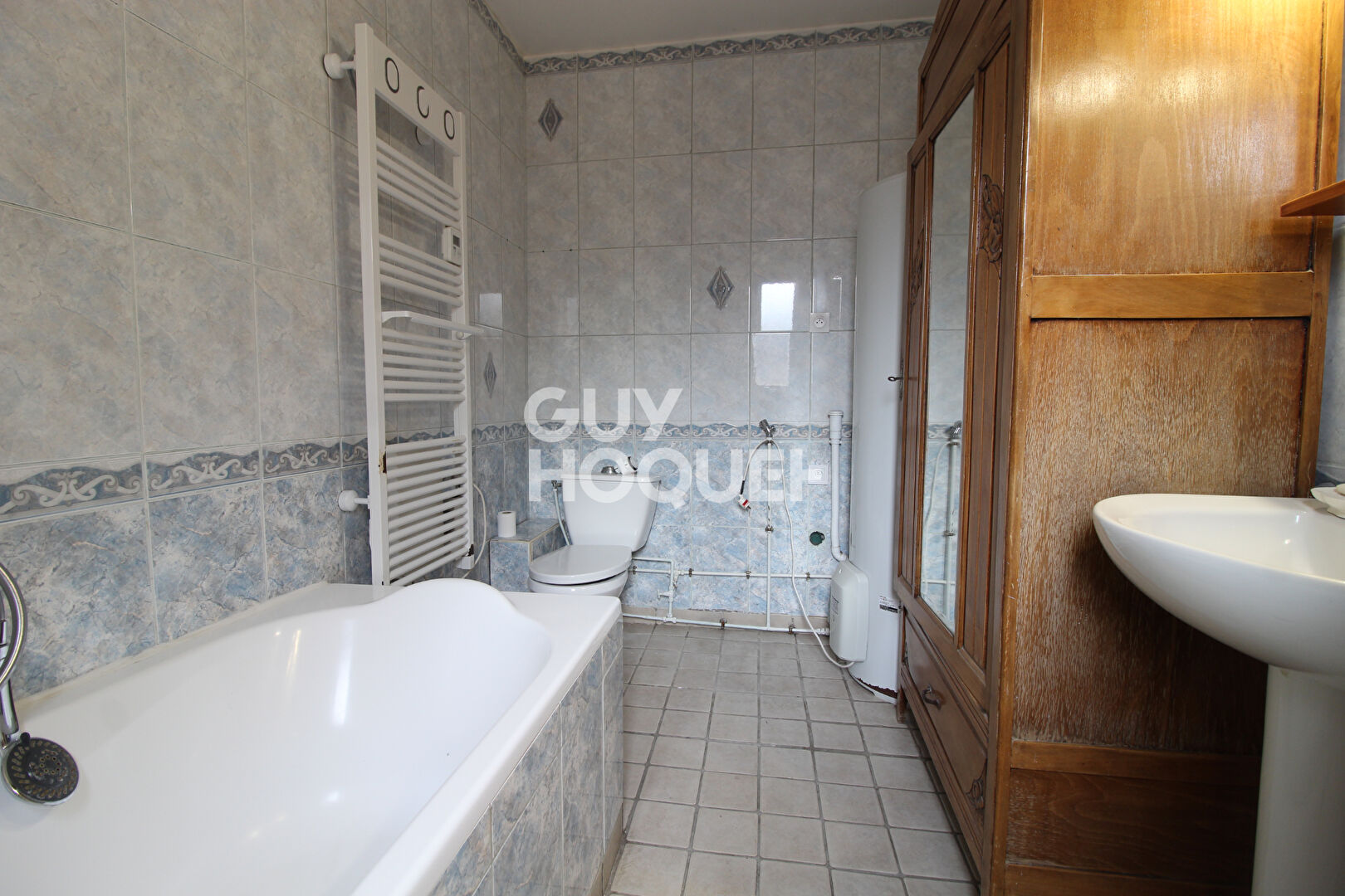 Charme de l'ancien - Briarde avec jardin