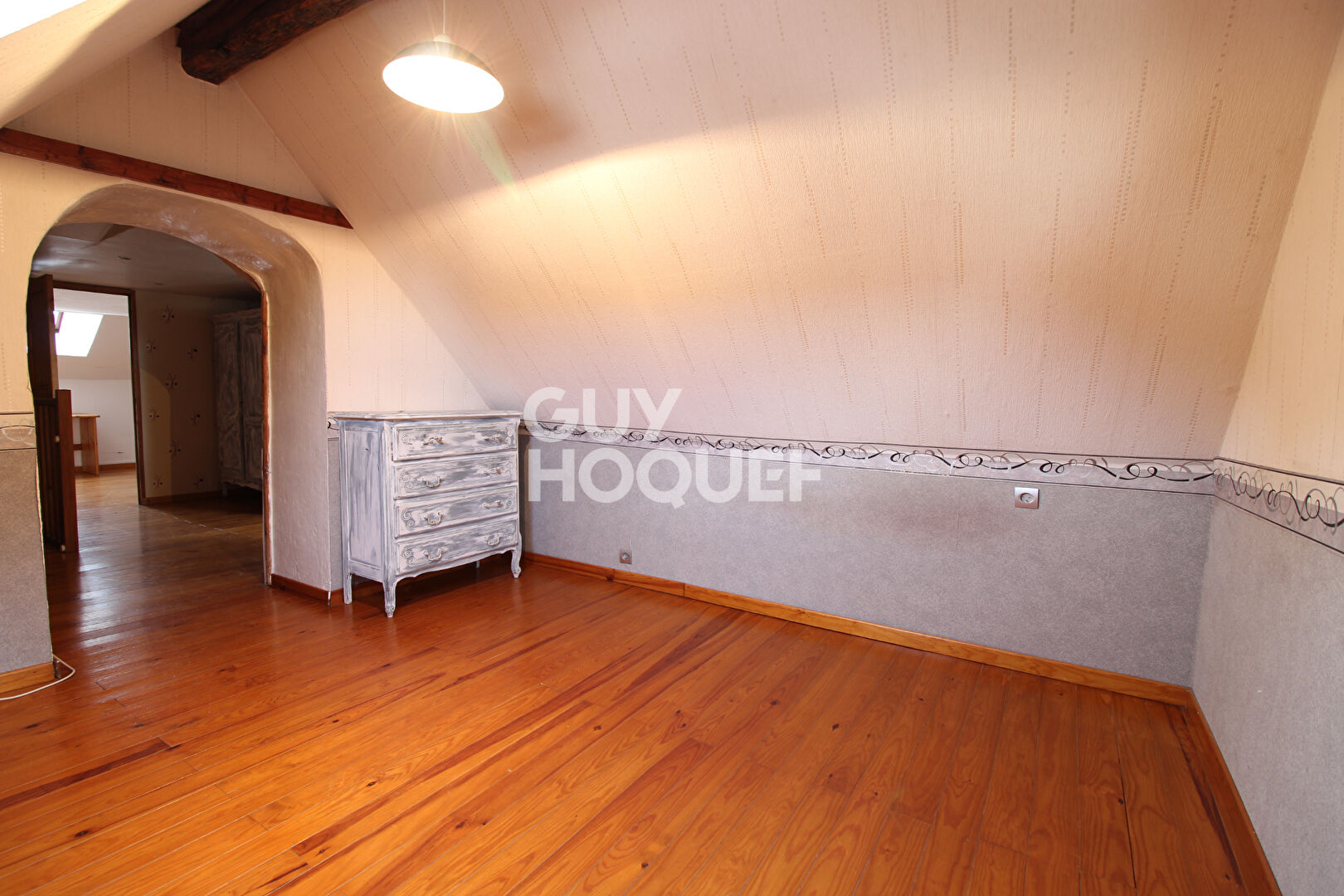 Charme de l'ancien - Briarde avec jardin