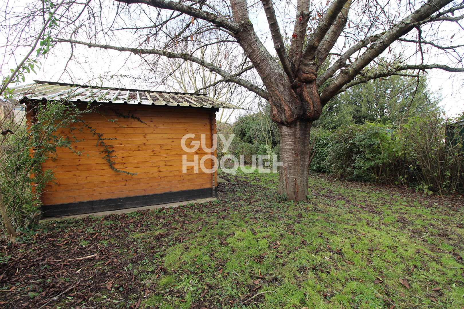 Charme de l'ancien - Briarde avec jardin