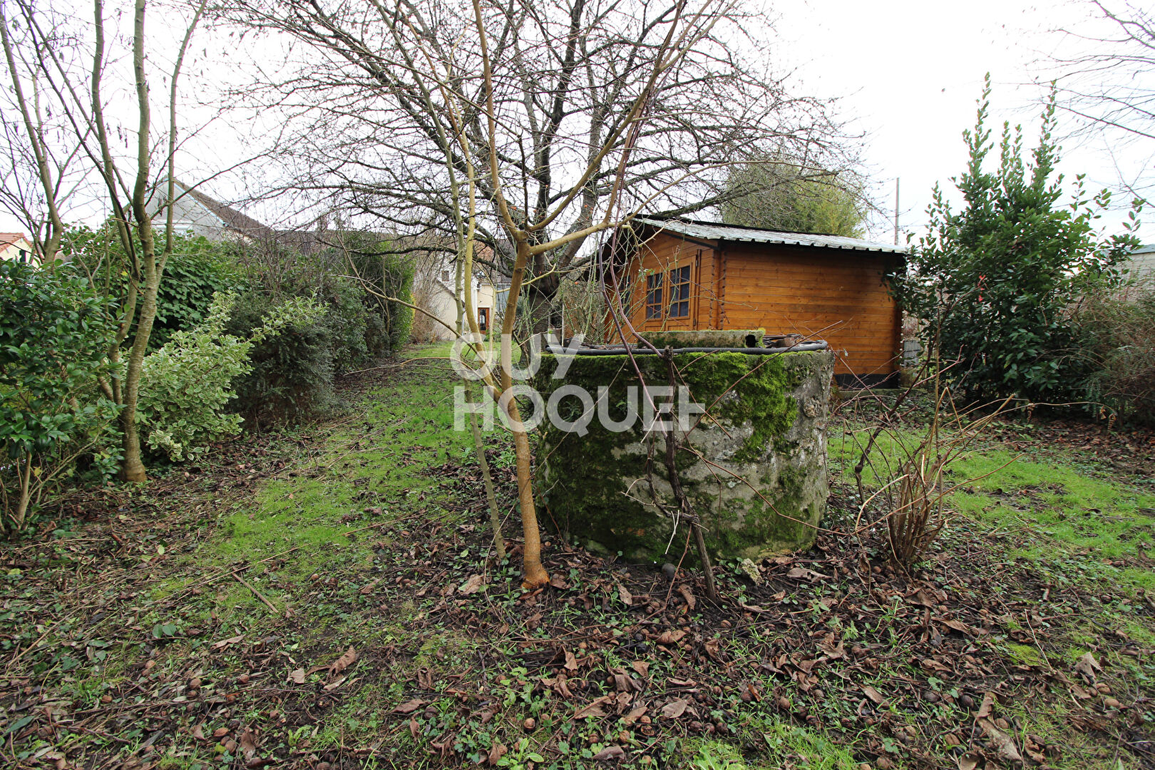 Charme de l'ancien - Briarde avec jardin