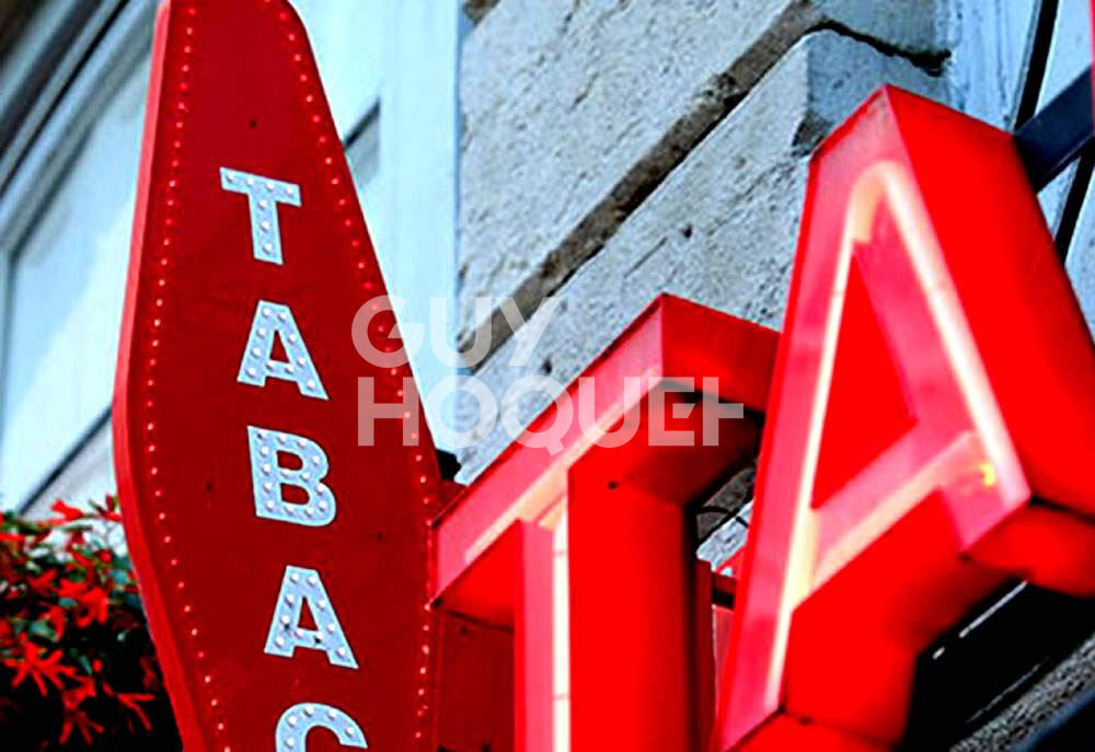 Murs Grisy Suisnes 138.95 m²