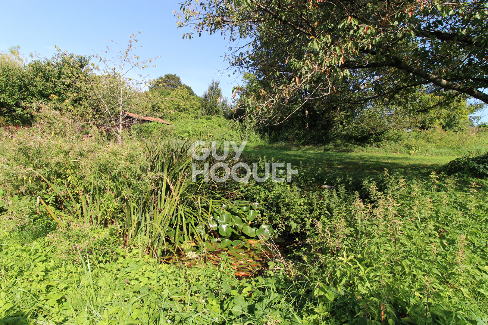 Maison Chaumes En Brie