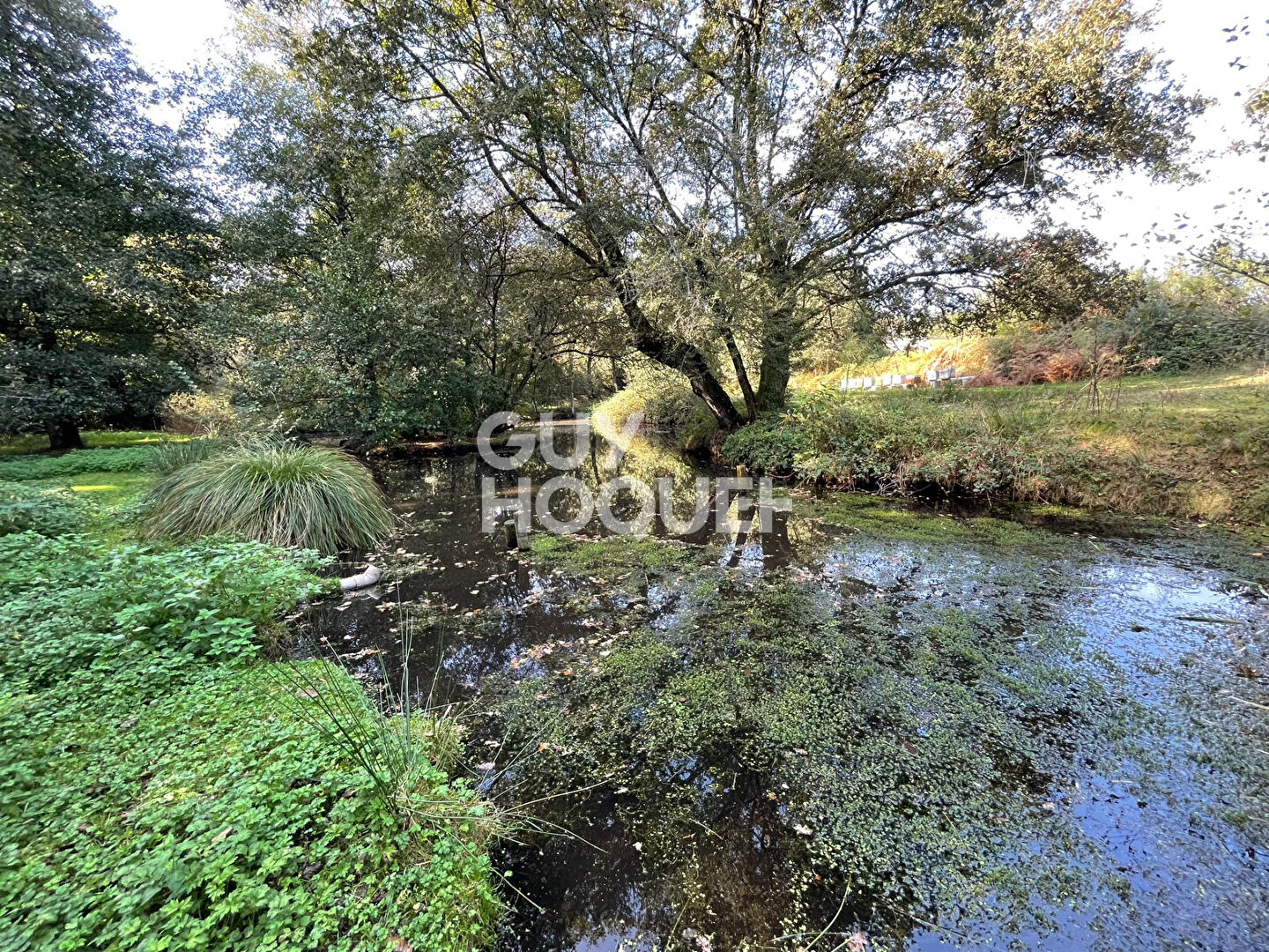 Vaste longère à Vendre à Marzan de plus de 400 m² !