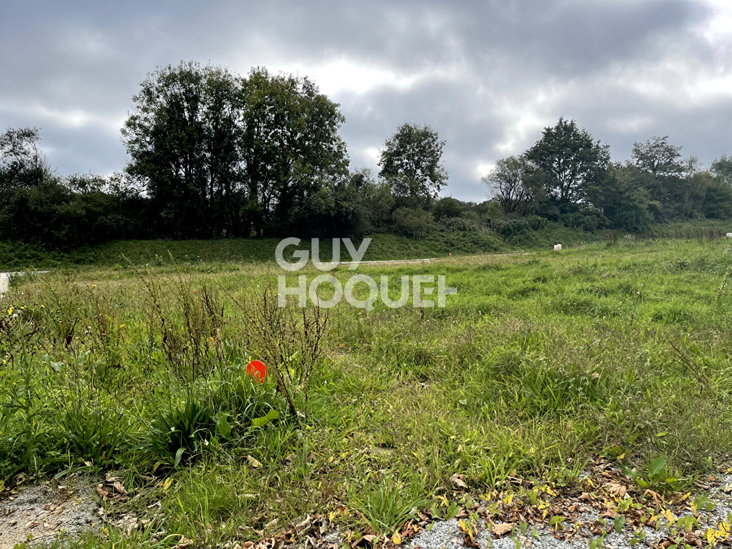 Opportunité unique au Domaine de la Rooselière à Elven !