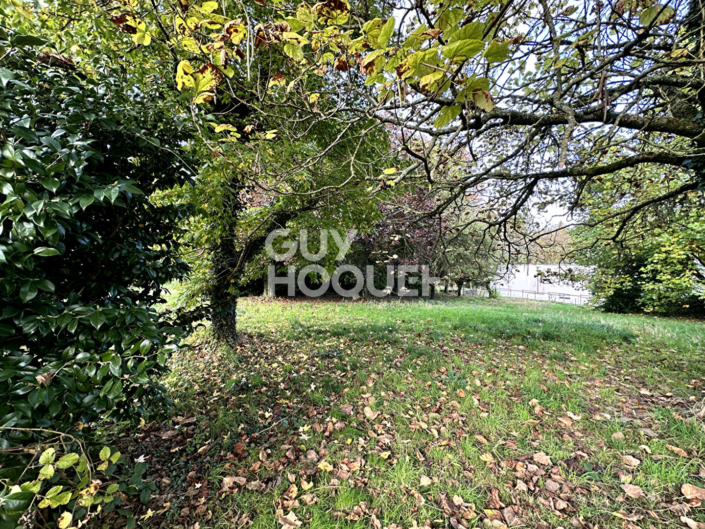 Terrain Rare de 687 m2