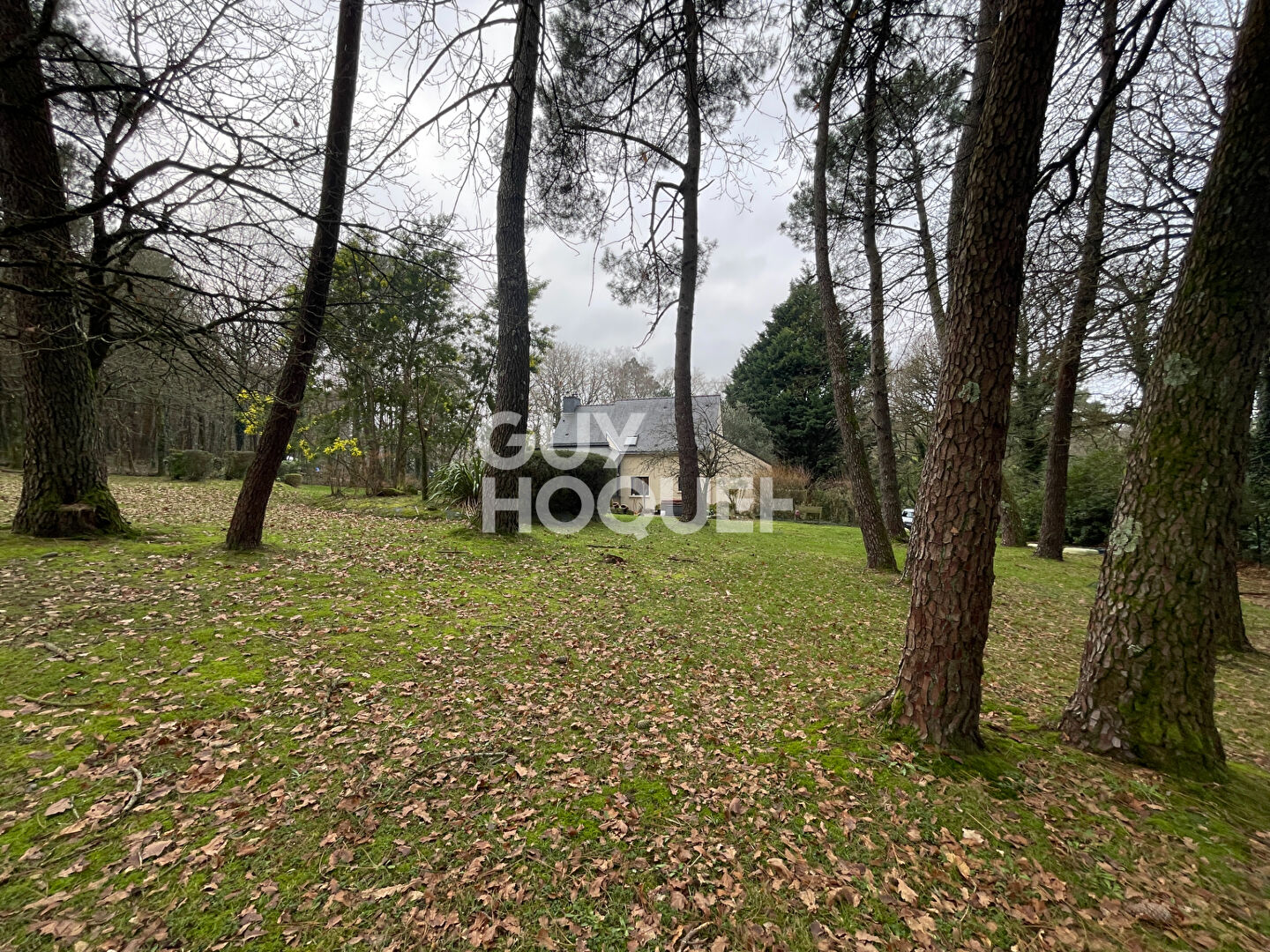 Maison familiale 4 chambres à Bohal