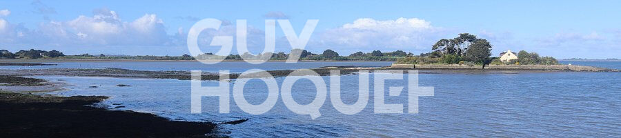 Terrain à vendre à Saint Armel - Référence 6918