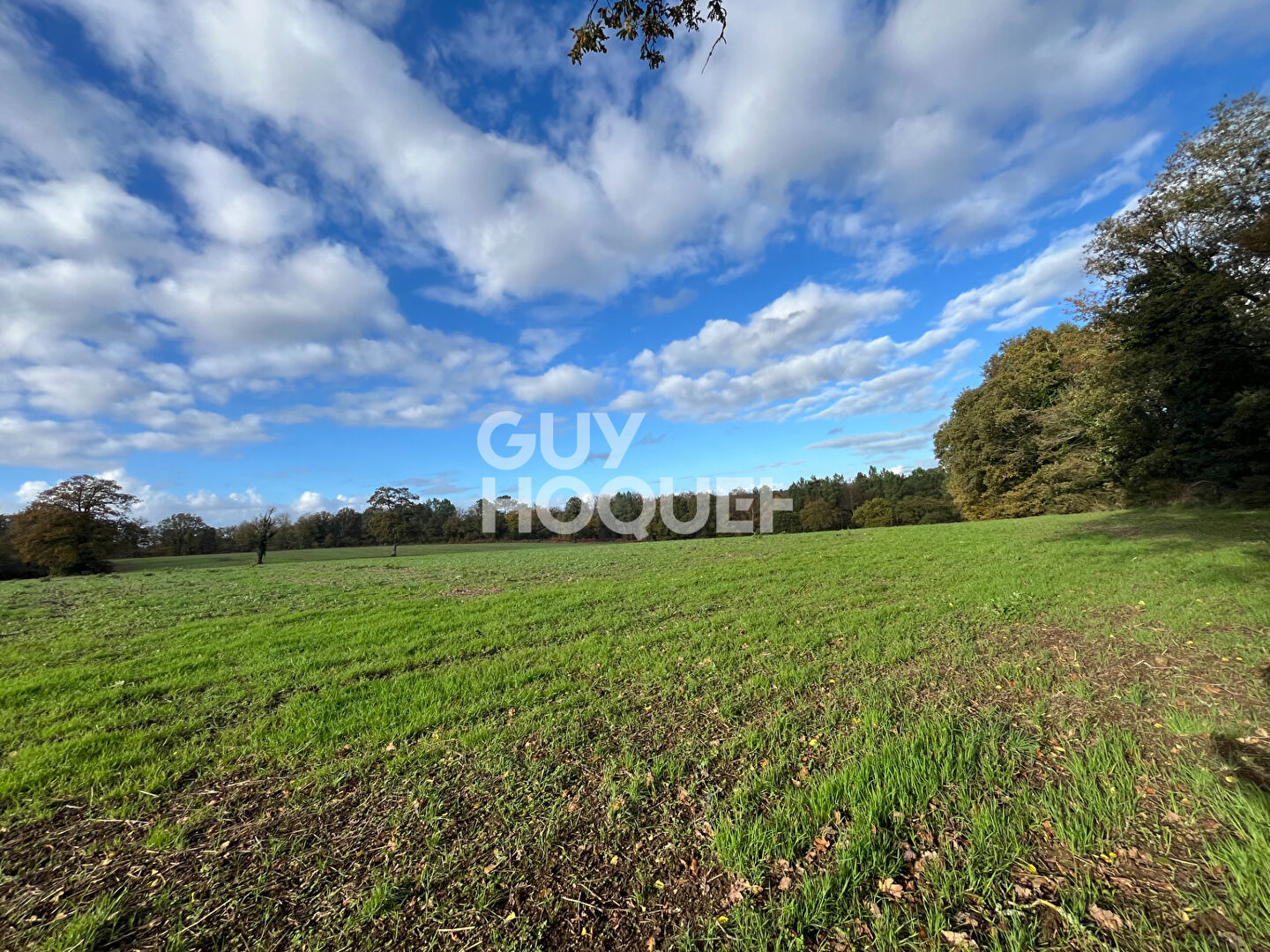 Domaine forestier Tredion BOIS, Plan de chasse