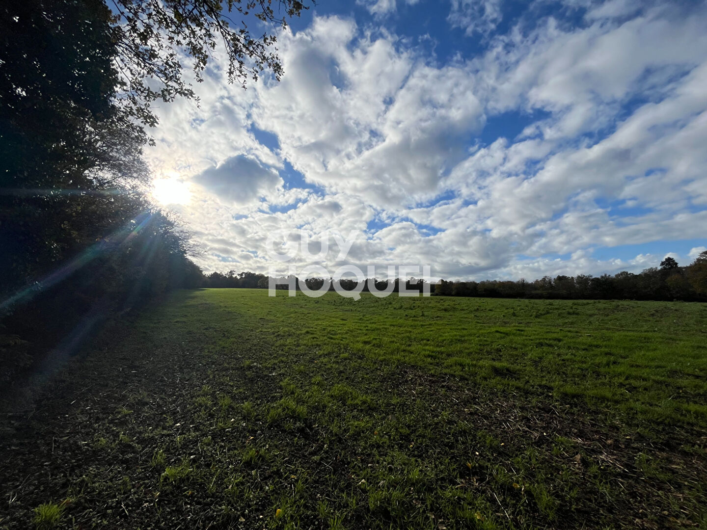 Domaine forestier Tredion BOIS, Plan de chasse