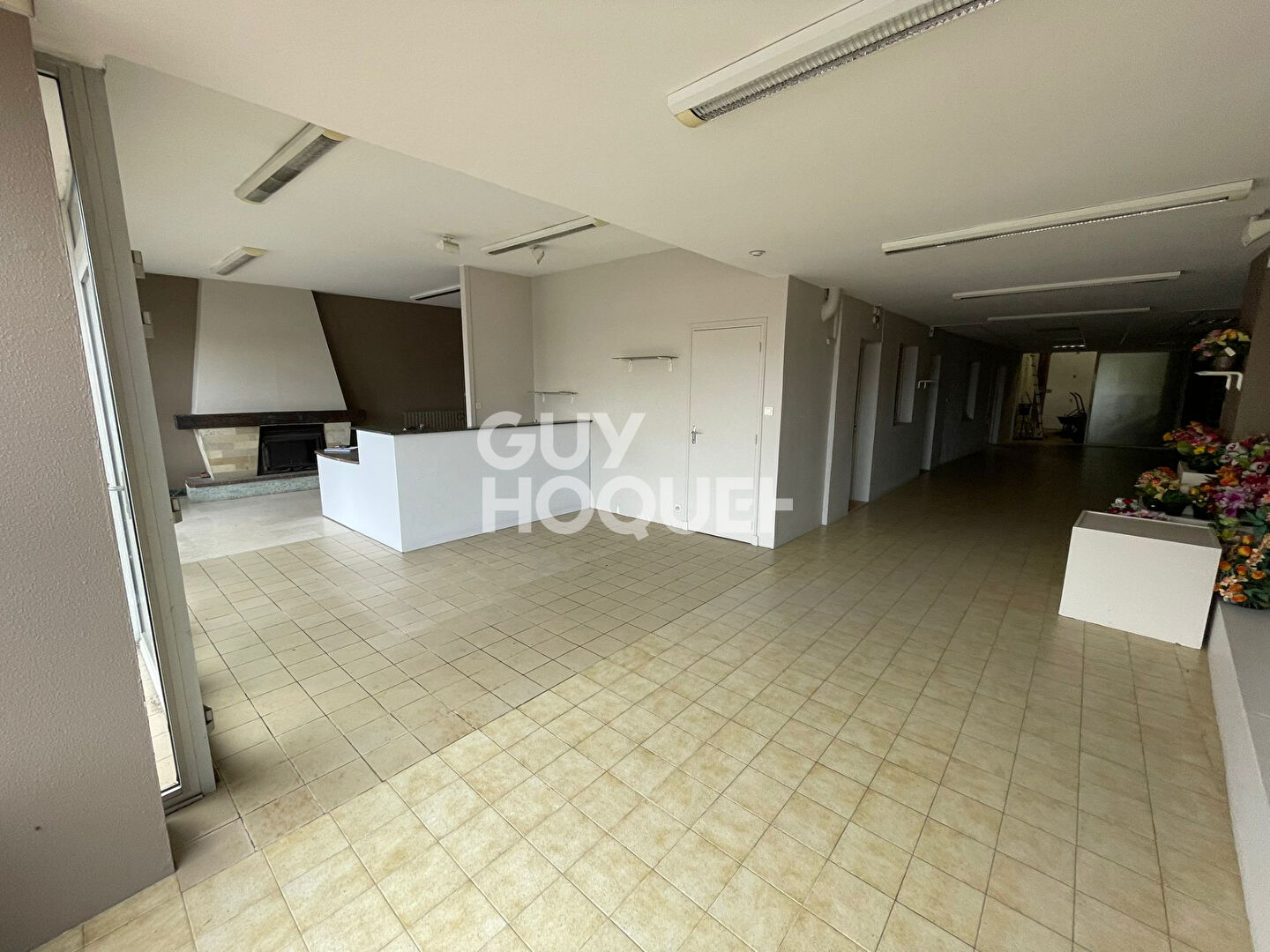 Maison avec commerce