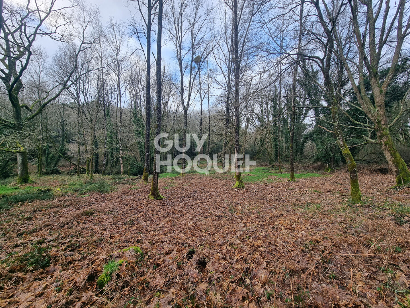 Terrain à vendre à Questembert