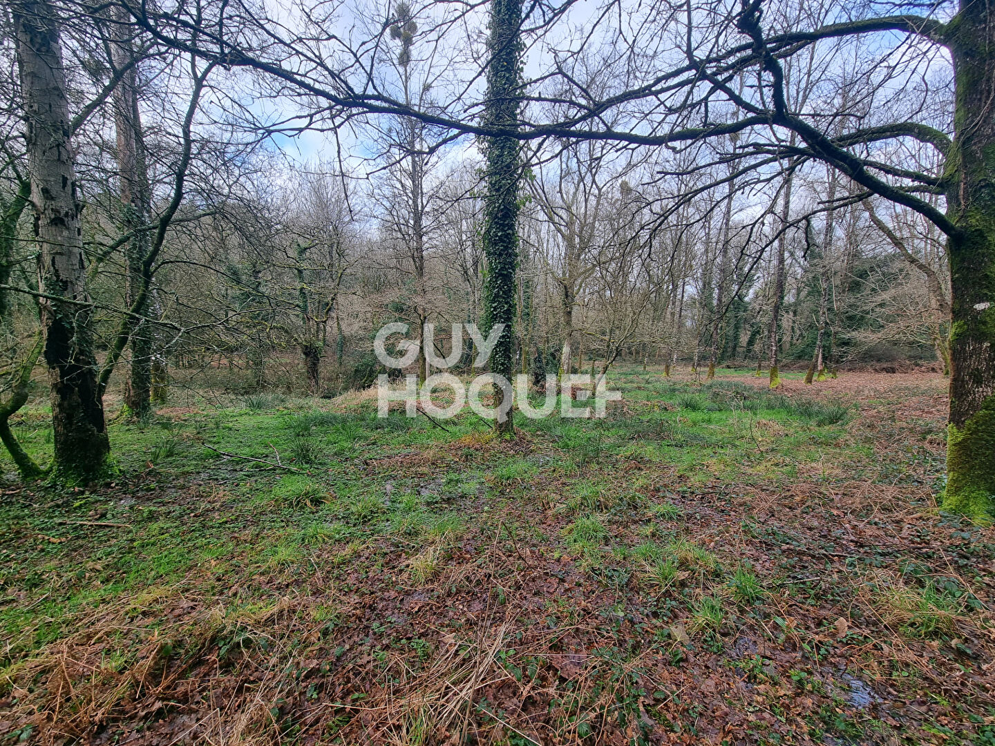 Terrain à vendre à Questembert