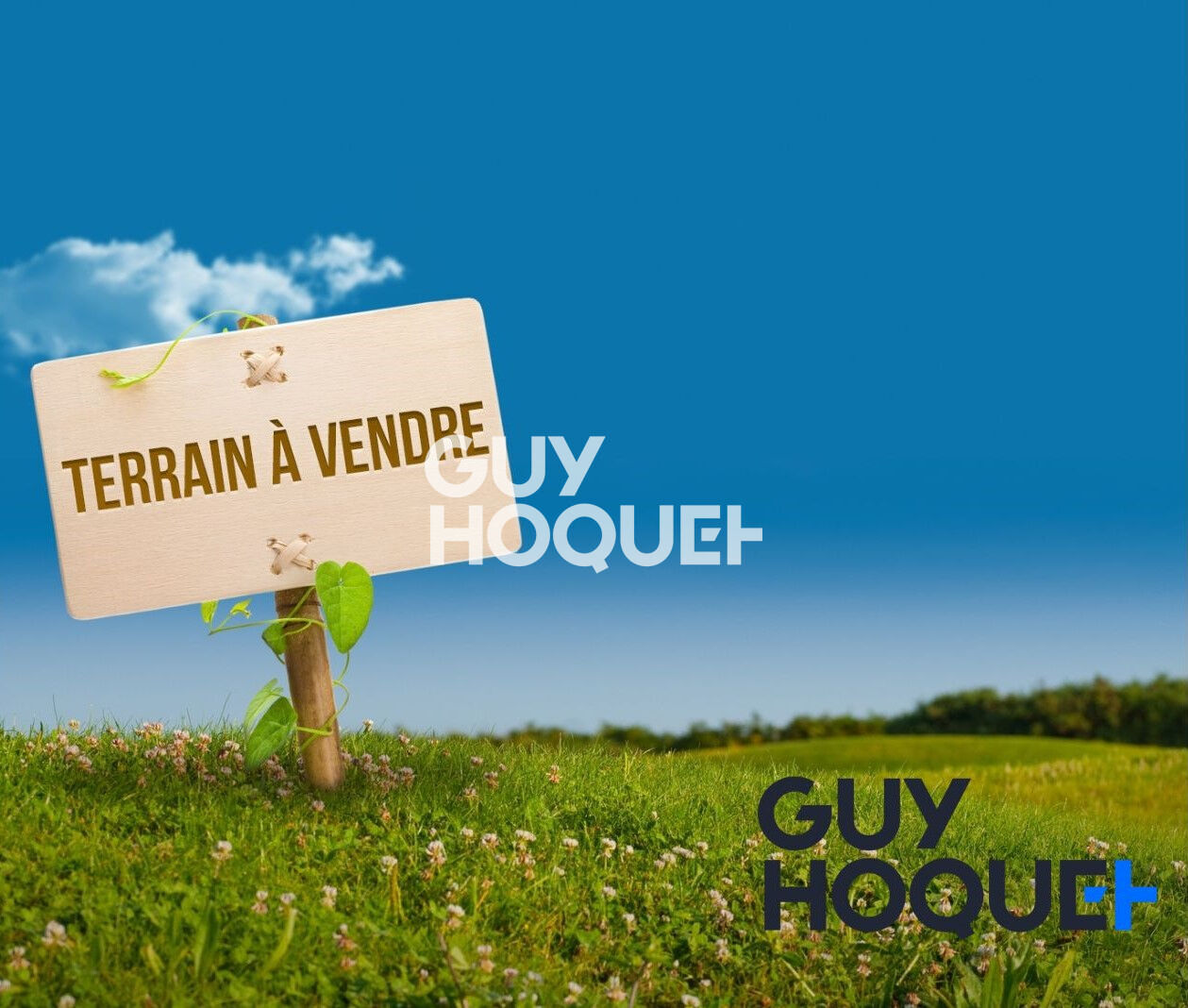 Terrain à vendre à Saint Jean Brévelay : l'endroit idéal pour construire votre château !