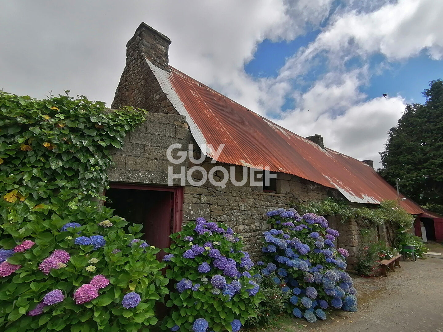 Propriété sur 1,6 hectares