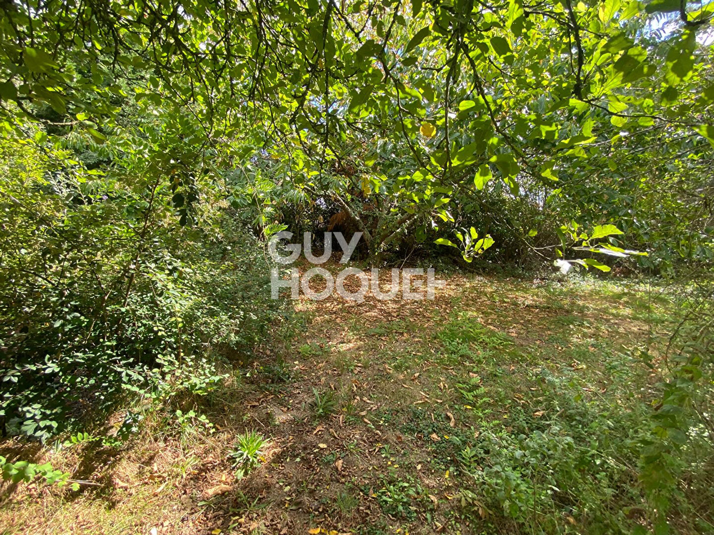 Terrain à vendre à Vannes Nord - Opportunité rare de 595 m²