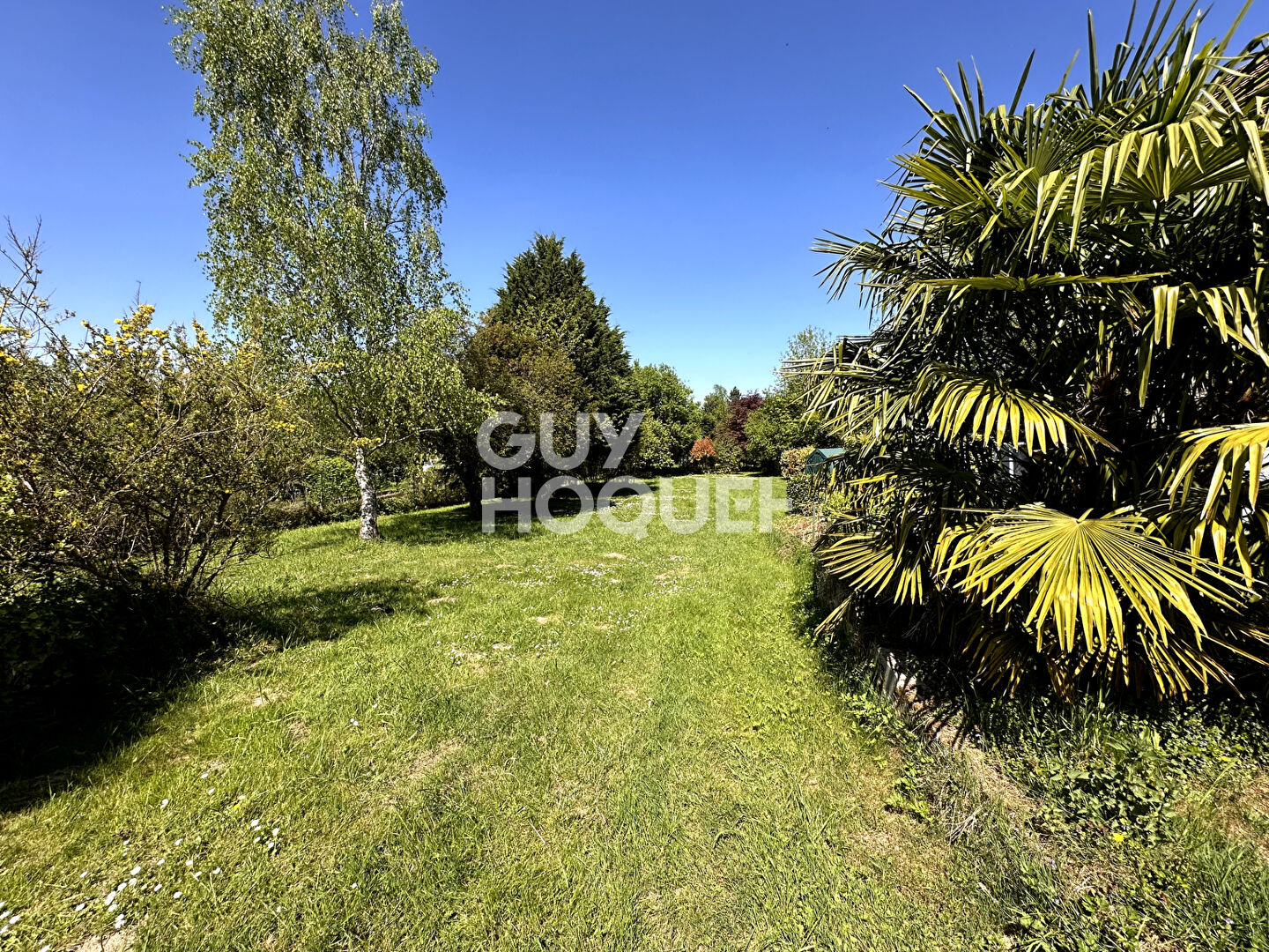 Maison spacieuse - Un havre de paix !