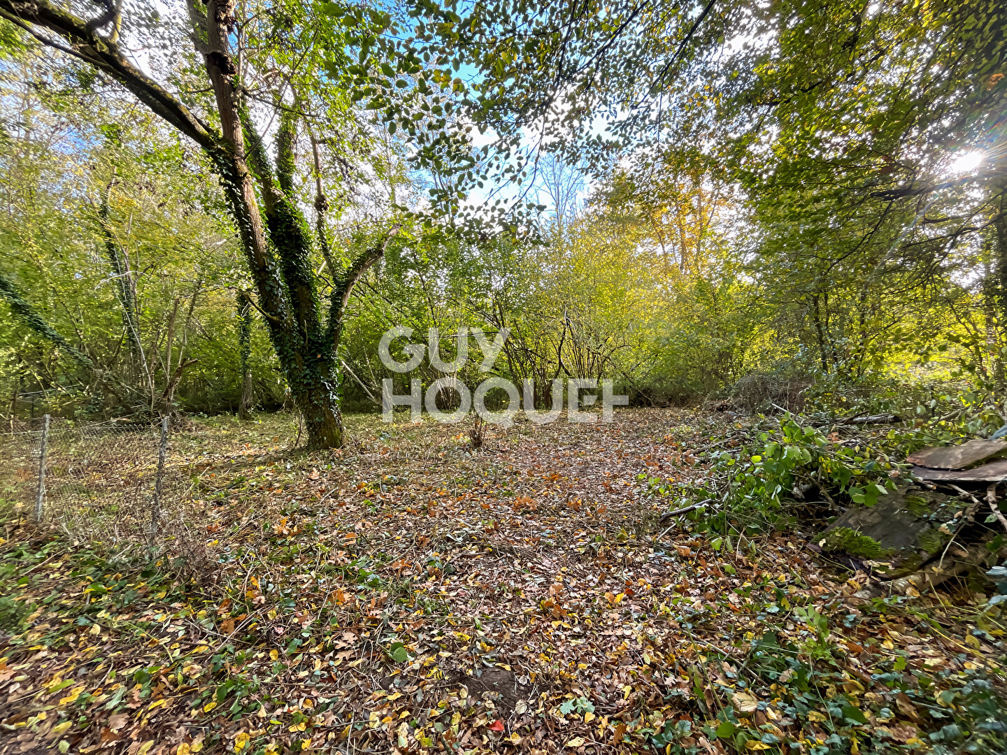 Terrain Courtomer 300 m2