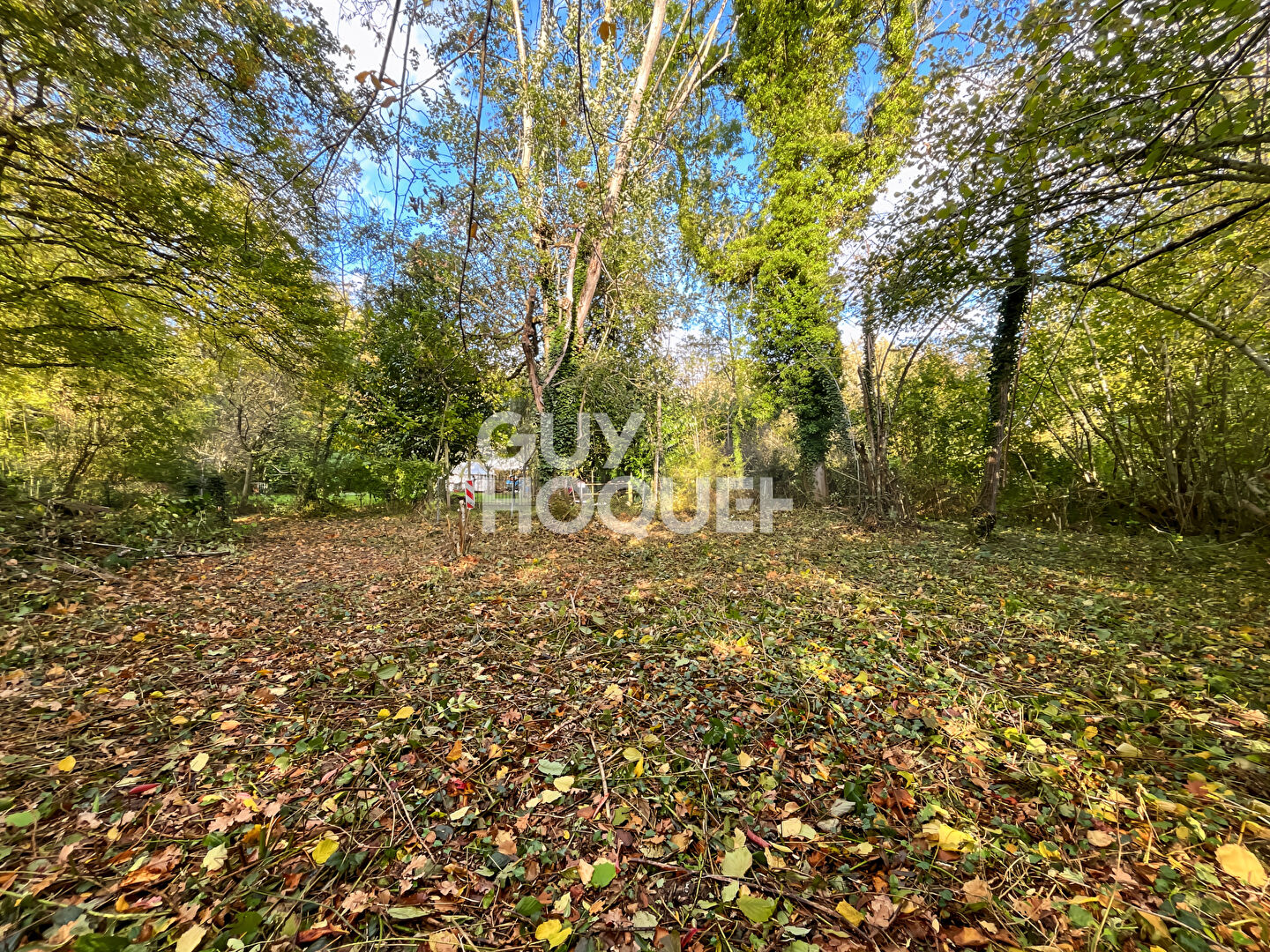 Terrain Courtomer 300 m2