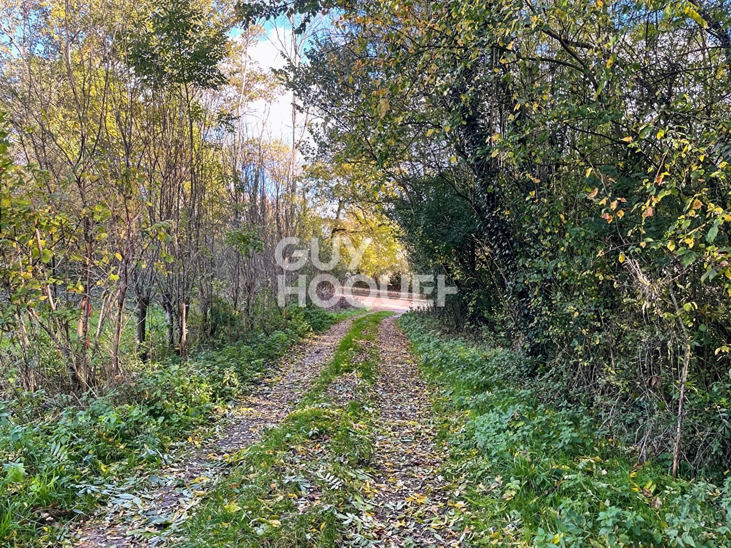 Terrain Courtomer 300 m2