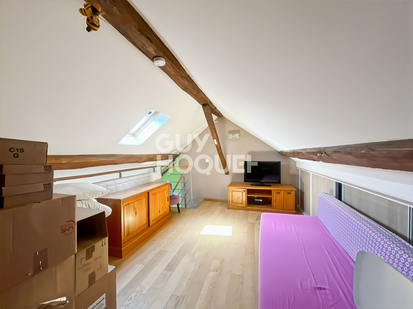 Maison Briarde avec Piscine et Beaux Volumes