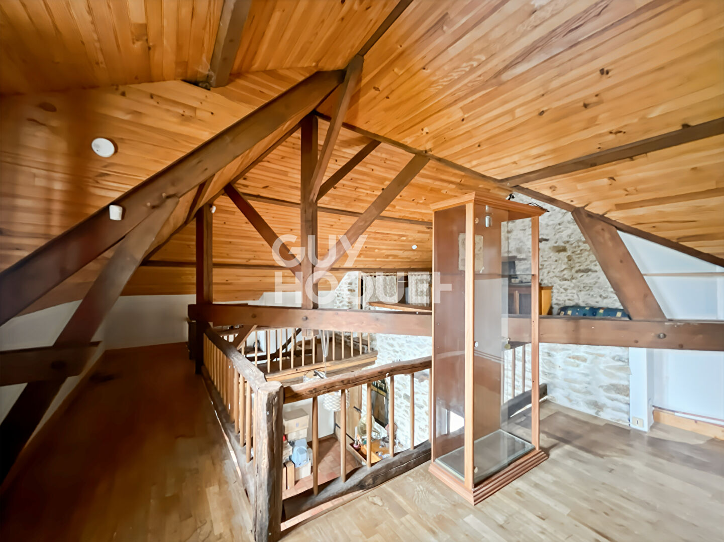 Maison Briarde avec Piscine et Beaux Volumes