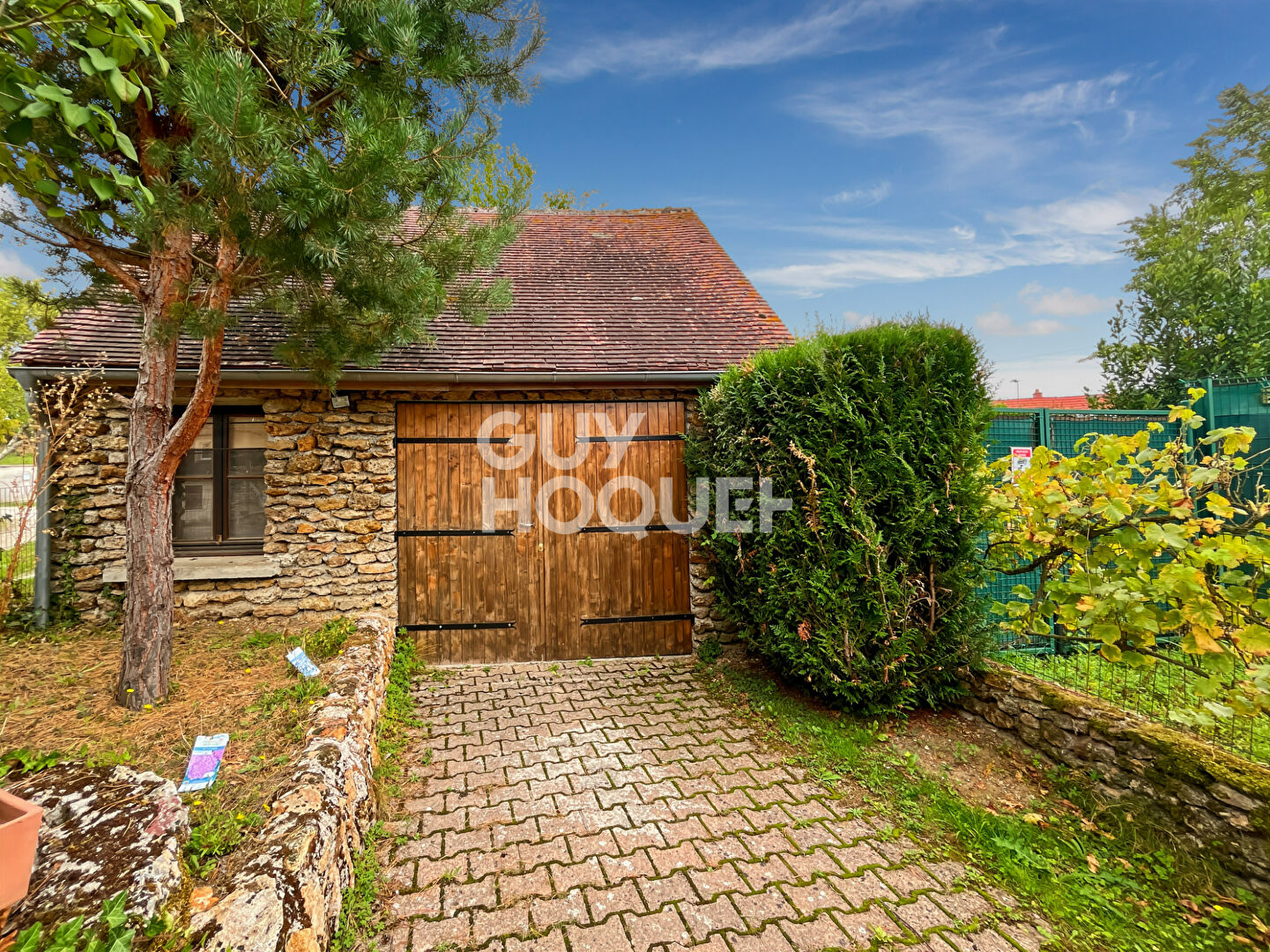 Maison Briarde avec Piscine et Beaux Volumes