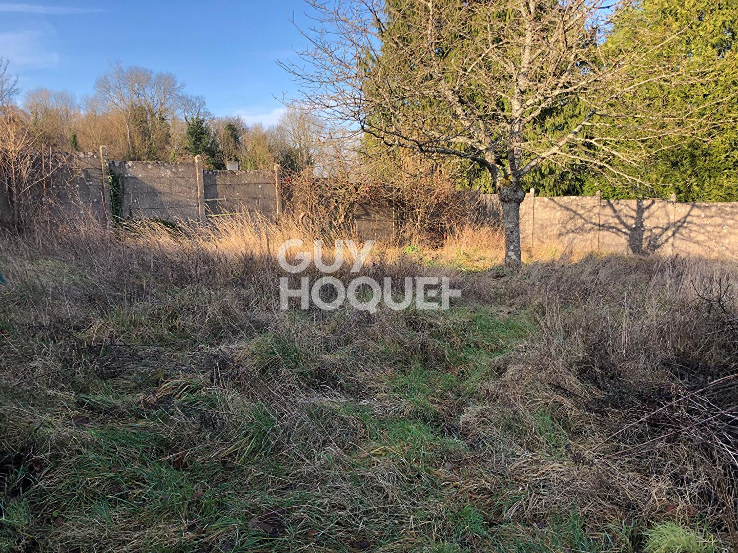 TERRAIN CONSTRUCTIBLE