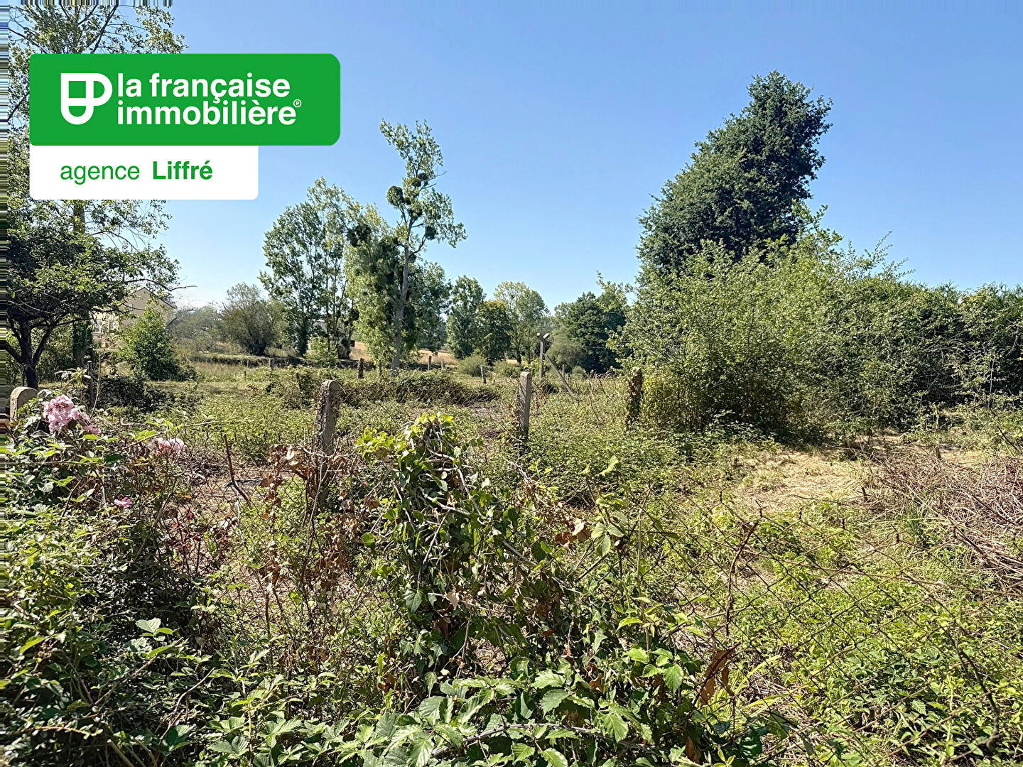 Terrain Chasne Sur Illet 2500m2 - LFI-LIFFRE-19548