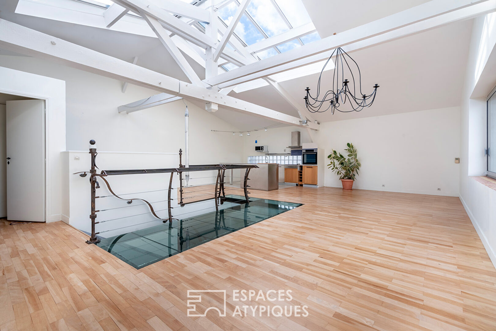 Photo Duplex lumineux sous verrière à la lisière de Paris image 4/6