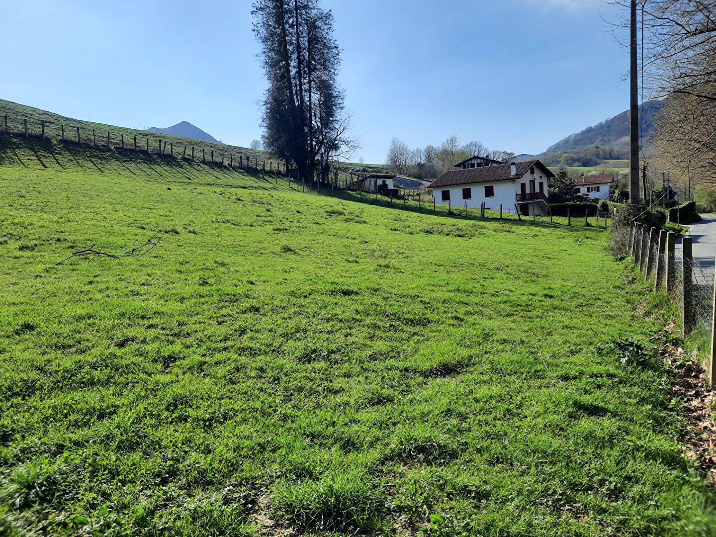 Terrain Sare 604 m2