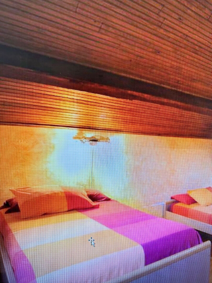 Photo Maison Ch D'Hôtes  66 CERDAGNE  11 pièce(s) 350 m2 image 5/6