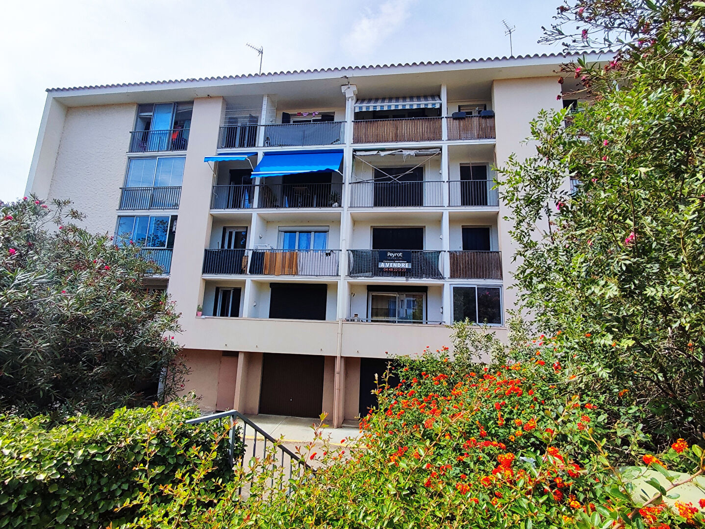 Agence immobilière de AGENCE PEYROT Perpignan