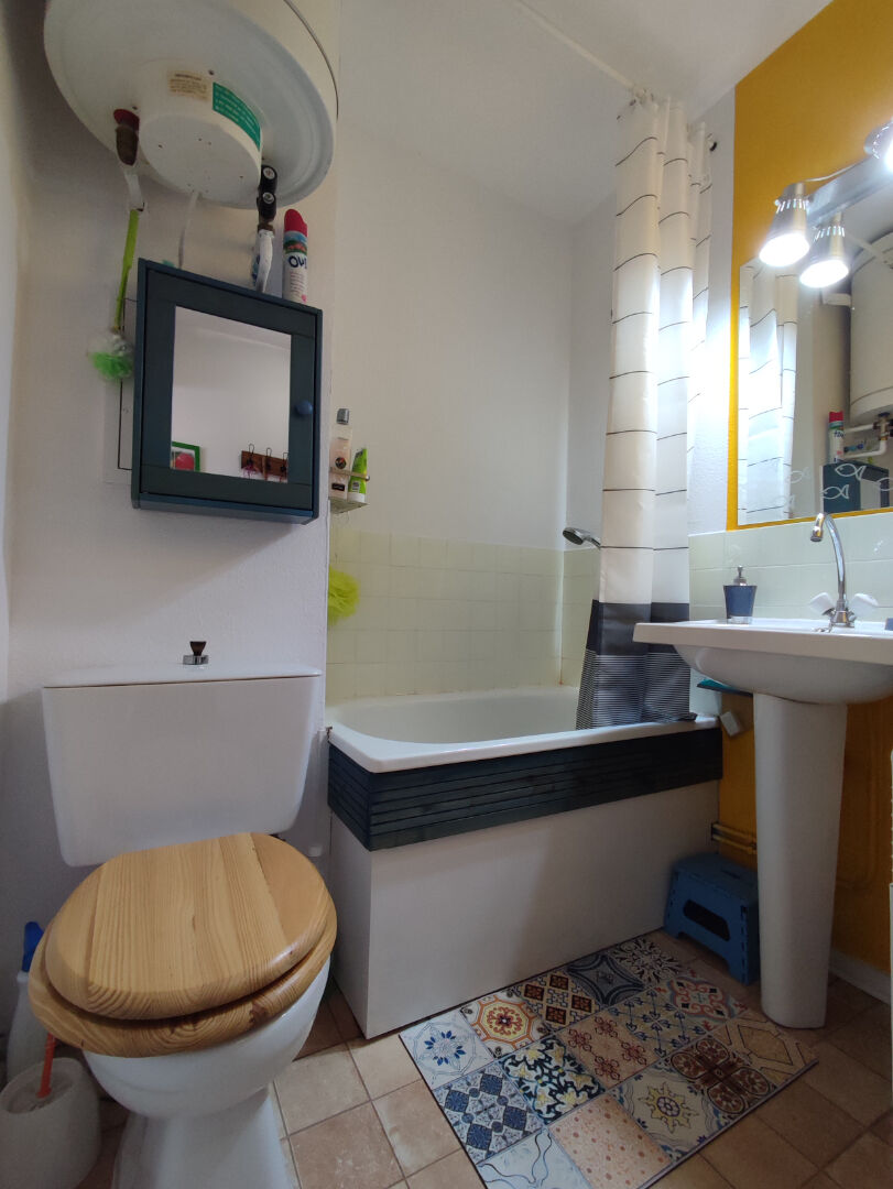 Photo LES MYRTILLES - PYRENEES 2000 image 5/6