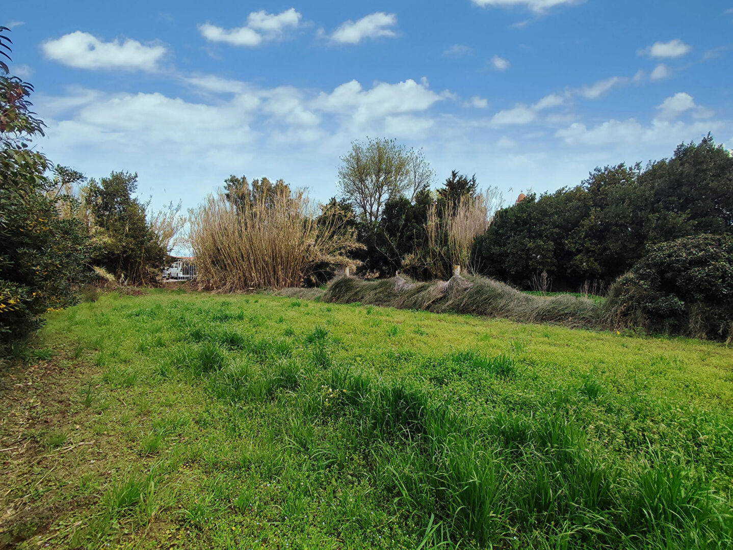 Photo PEZILLA-LA-RIVIERE Terrain constructible de 953 m2 image 3/6