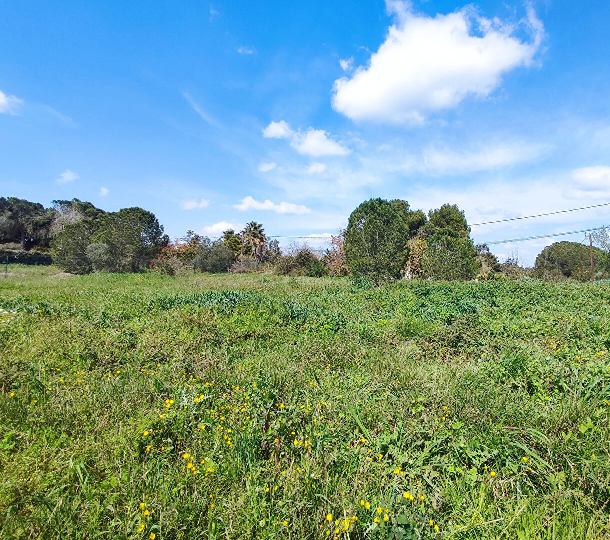 Agence immobilière de AGENCE PEYROT Perpignan