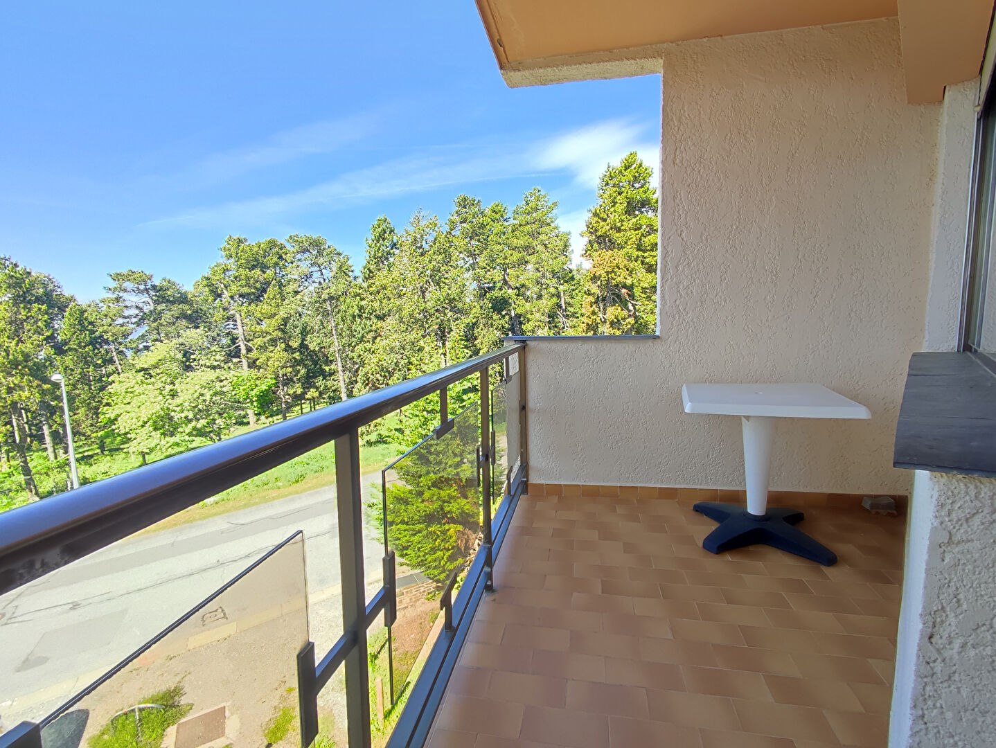 Photo LES RHODODENDRONS - BOLQUERE image 6/6