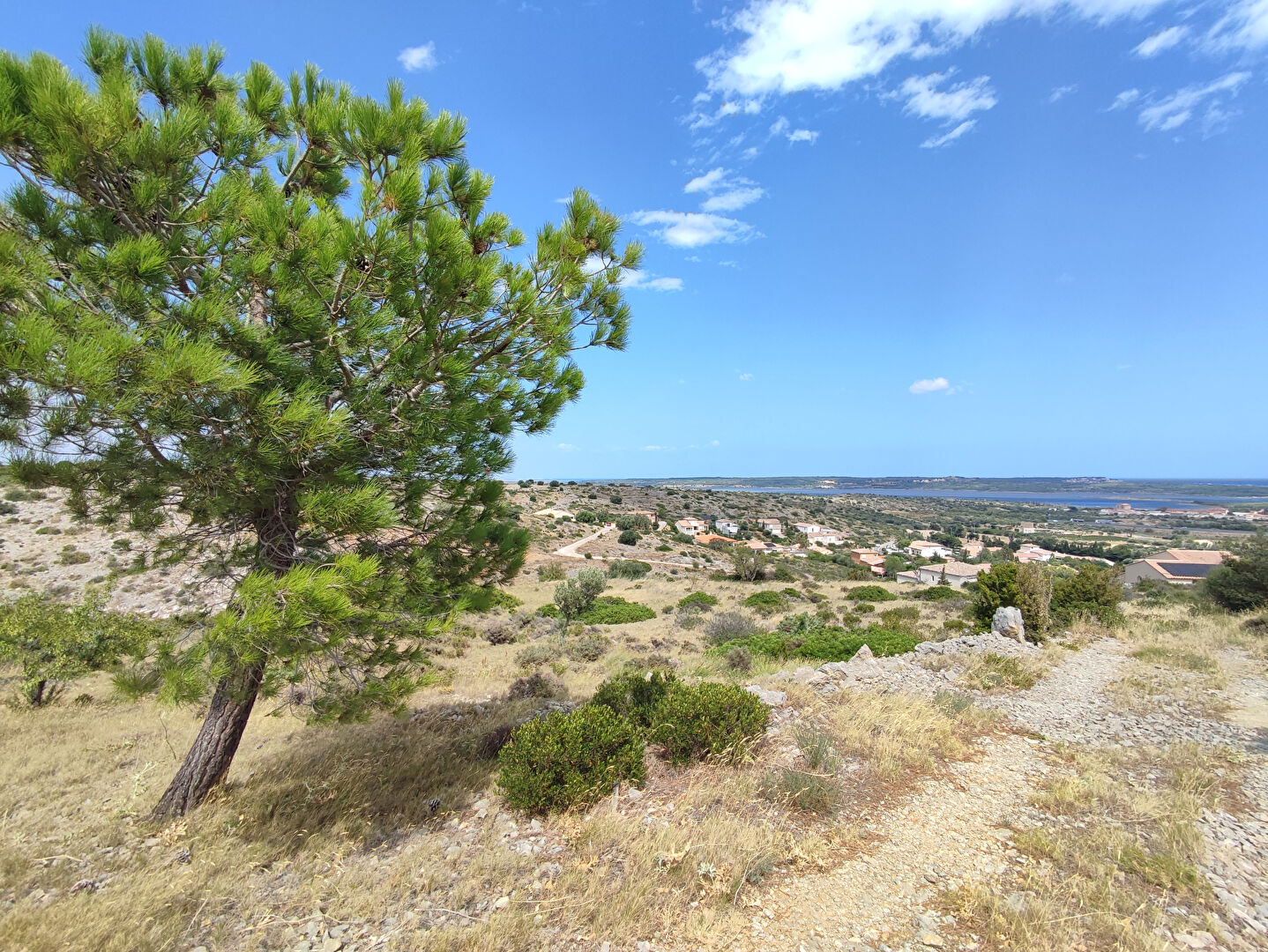Agence immobilière de AGENCE PEYROT Port Leucate