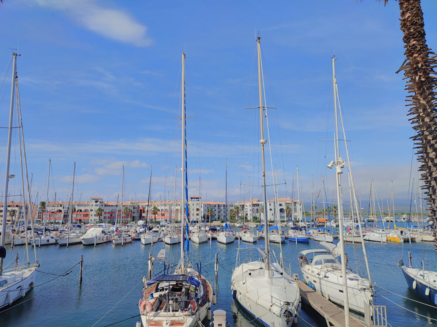 Agence immobilière de AGENCE PEYROT Port Leucate