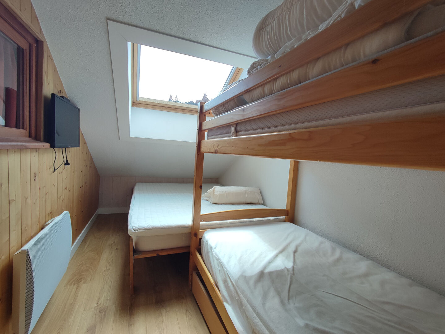 Photo LES GENTIANES - PYRENEES 2000 image 5/6