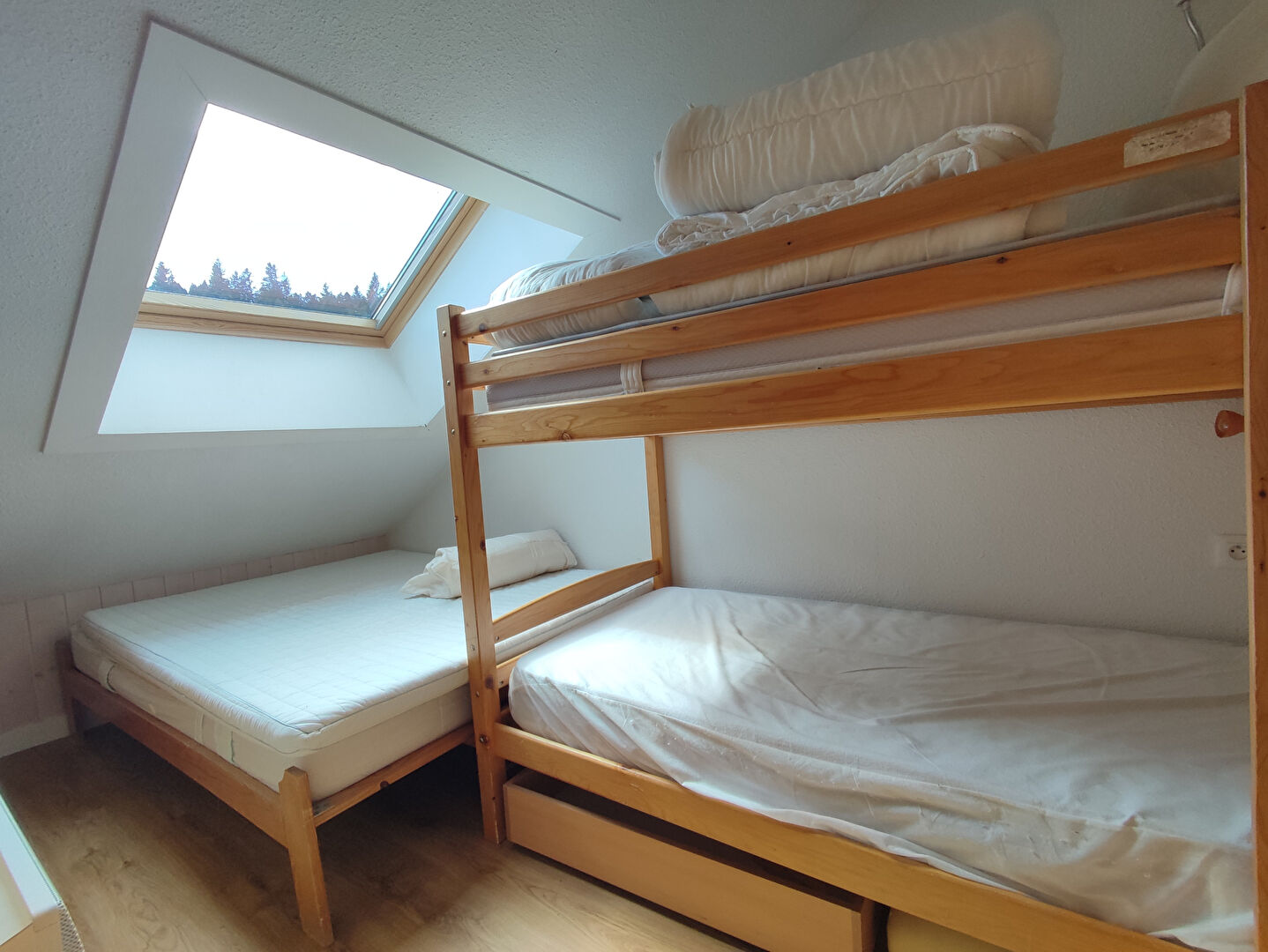 Photo LES GENTIANES - PYRENEES 2000 image 6/6